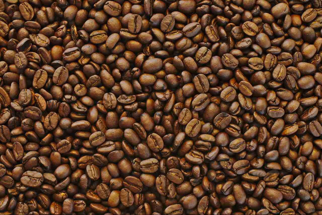 Caffè arabica: perché è la miscela più amata?