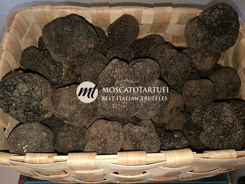 Luglio: il mese migliore per acquistare tartufo estivo