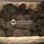 Luglio: il mese migliore per acquistare tartufo estivo