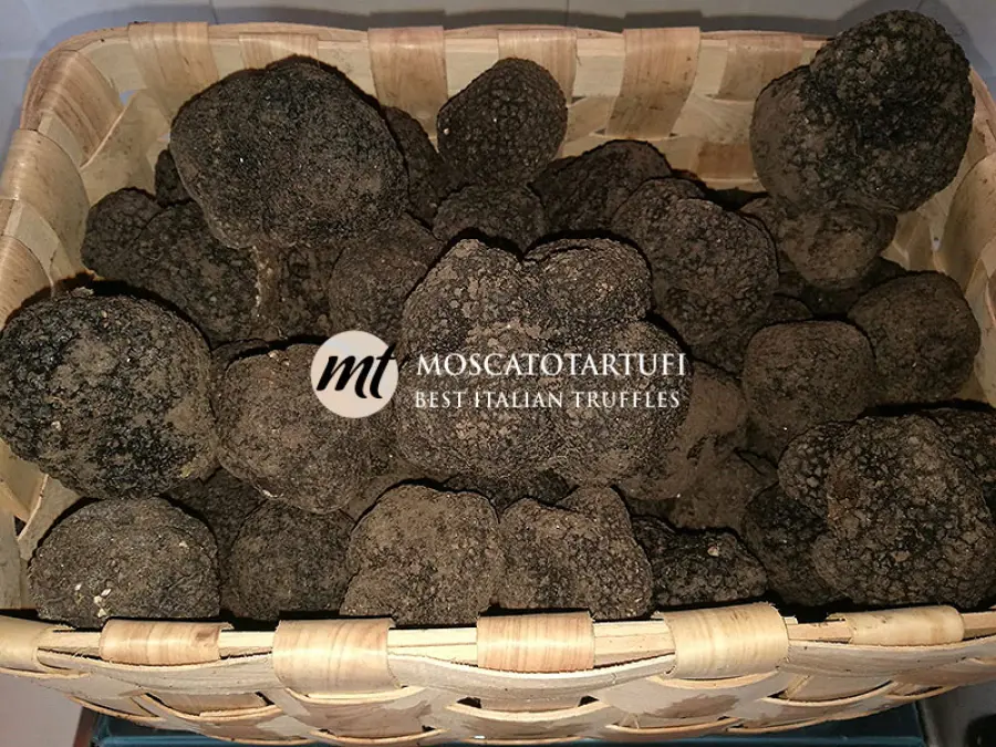 Luglio: il mese migliore per acquistare tartufo estivo
